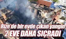 Rize'nin Hemşin ilçesinde çıkan yangın 2 eve daha sıçradıktan sonra söndürüldü