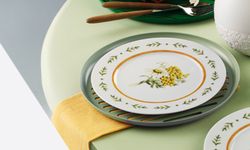 Sunum Tabaklarını Kullanmanın Farklı Yolları