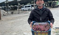2025 yılı üzümlerini 2026'da bitirdi