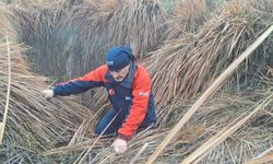 379 kişi iz takip ve kadavra köpeğiyle kayıp kadını arıyor