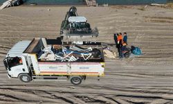 5 saatte sahilden 52 torba çöp topladılar