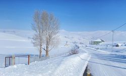 Ağrı'da kar manzarası görsel şölen oluşturdu