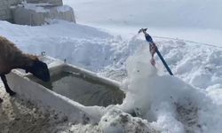 Ağrı'da soğuk hava etkisini göstermeye devam ediyor