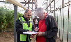 Aksu'da afetten zarar gören seralarda hasar tespiti yapıldı