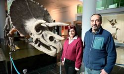 Anadolu'nun genetik hafızası bu müzede korunuyor