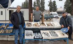 Araban'da soğuk hava balığa talebi artırdı