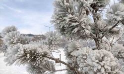 Ardahan'da dondurucu soğuklar etkili oldu