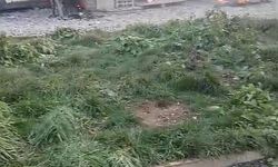 Arnavutköy'de şantiyede yangın paniği: Konteynerler alev alev yandı