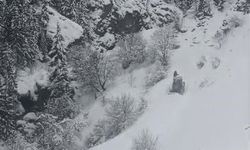 Artvin'de kar ulaşımı vurdu: 120 köy yolu kapalı