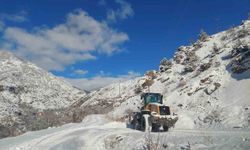 Artvin'de kar yağışı nedeniyle 34 köy yolu ulaşıma kapandı