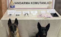 Artvin'de uyuşturucu operasyonu