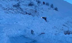 Artvin'de yeni çığ riski çalışmaları durdurdu