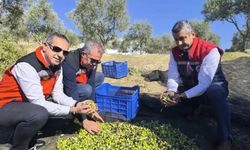 Aydın'da bir yılda 3 bini aşkın tarımsal denetim yapıldı