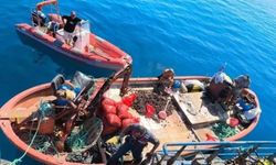 Aydın'da yasa dışı avcılığa geçit verilmiyor: 'Bir yılda 5 bin denetim yapıldı'