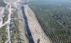 Aydın'ın İlek Bahçeleri 21 Ocak'ta törenle hizmete açılıyor