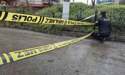 Bartın Irmağı taştı