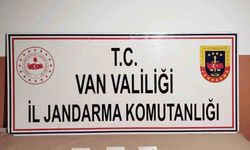 Başkale'de 280 adet sentetik hap ele geçirildi