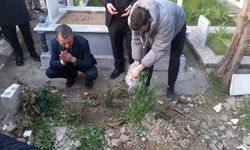 Başkan Şahin güven tazeledi