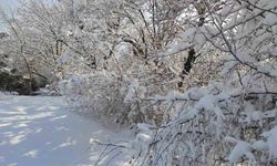 Batman'da kar manzaraları