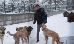 Battalgazi'de Malatya'nın ikinci hayvan barınağı hizmete başladı