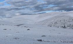 Bayburt'ta en düşük sıcaklık Kavlatan köyünde ölçüldü