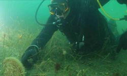 Belediye başkanı dalış yaptı, su altından müjdeyle çıktı