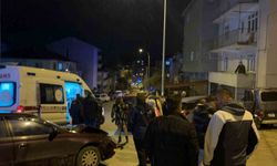 Bilecik'te zincirleme trafik kazası; 1 yaralı