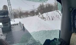 Bingöl'de ahır yolunu açmadılar diye iş makinesine saldırdılar