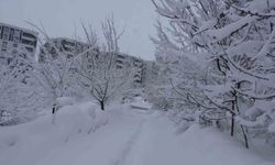 Bitlis'te kar esareti, 229 köy yolu ulaşıma kapalı