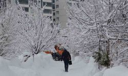 Bitlis'te kar yağışı yeniden etkili oldu