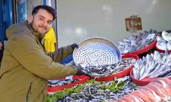 Bu yıl tezgahların yıldızı palamut yerine Karadeniz hamsisi oldu