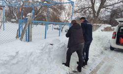 Bünyan'da sokak hayvanlarına mama desteği