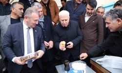 Büyükşehir'den dağ yöresine arı kovanı desteği