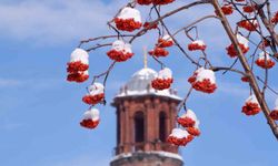 Buzlanma, don ve çığa dikkat