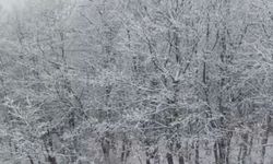 Çanakkale'de yüksek kesimler beyaza büründü