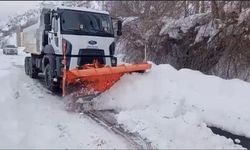 Çığ riski nedeniyle kapalı 30 köy yolu için çalışma başlatıldı