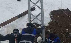 Çüngüş'te devrilen elektrik direkleri onarıldı