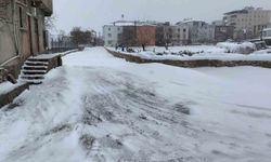 Dicle'de yoğun kar hayatı olumsuz etkiledi