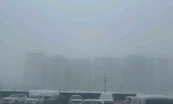 Diyarbakır sis denizinde kayboldu, uçak seferleri iptal edildi