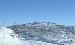 Diyarbakır'da aç kalan kurt ve domuz sürüsü yerleşim yerine indi