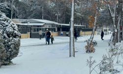 Diyarbakır'da kar yağışı çileye dönüştü