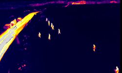 Diyarbakır'da kayıp kadın termal kamera ve dronlarla aranıyor