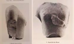 Doğaseverler Yılancıburnu'nun önemine dikkat çekti