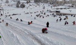 Düzce Bahçeşehir Bölgesi, Uludağ'ı aratmadı