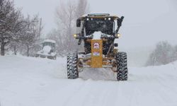 Elazığ'da kar yağışı etkili oldu: 553 köy yolu kapandı