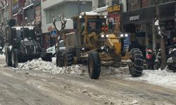 Elazığ'da karla mücadele ekipleri sahada