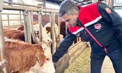 Erzurum'da 2025 yılında üreticiye güçlü destek