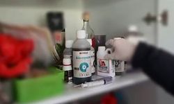 Evin bir odasını uyuşturucu serasına çeviren şüphelileri polis yakaladı