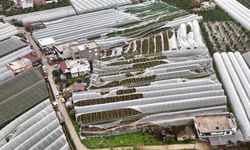 Finike'de hortumdan zarar gören seralarda hasar tespiti başladı