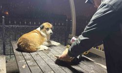 Gazetecilerden duyarlı davranış